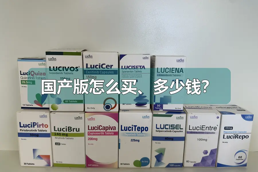国产版怎么买、多少钱？